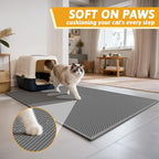 Pieviev Cat Litter Mat Double Layer Waterproof Urine Proof Trapping Mat 1 Pack) - Image 4