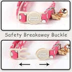 Unique style paws 2 Pack Valentine's Day Kitten Collar Breakaway - Image 4