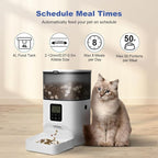 Automatic Cat Feeder, 4L Cat Food Dispenser - Image 2