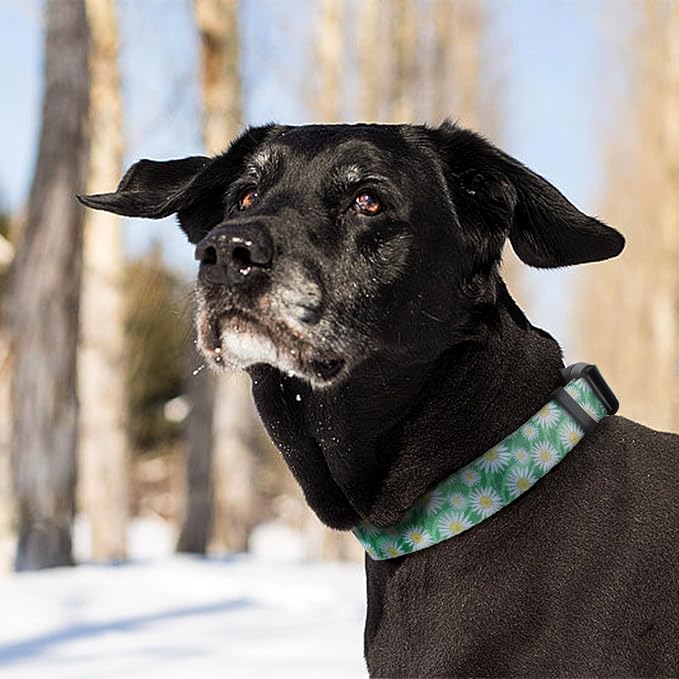 QQPETS Adjustable Soft Dog Collar: Print Flower Pink Multicolor Cute Patterns - Image 2