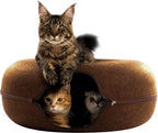 Cattasaurus Peekaboo Cat Cave Donut by Cattasaurus