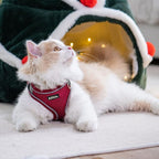 AIITLE Easy Walk Dog Harness and Leash Set - Image 9