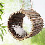 Natural Apple Wood Parrot Hammock & Tree Caves - Image 2