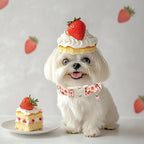 Strawberry Dog Collar for Medium Dogs - Image 7
