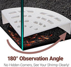 Shrimp Cave 2-Pack – Space-Saving Fan-Shaped Aquarium Cave Decor - Image 3