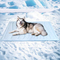 BECEMURU Dog Cooling Mat in Summer & Plush Warm Blanket in Winter, 2-Sided by BECEMURU