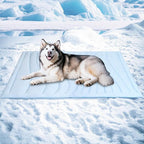 BECEMURU Dog Cooling Mat in Summer & Plush Warm Blanket in Winter, 2-Sided by BECEMURU