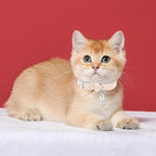 PUPTECK 2 PCS Soft Genuine Leather Cat Kitten Collar - Image 7
