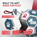 QDAN Dog Balls, World Cup Soccer Ball - Image 8