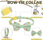 EXPAWLORER Spring Cat Collar Breakaway - Image 3