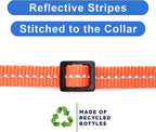 Pawtitas Recycled Coral Reflective Cat Collar – Eco-Friendly Breakaway Safety - Image 4