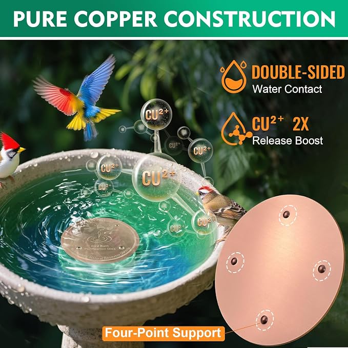 2 Pcs Bird Bath Copper Disk | 99.99% Pure Copper Plate & Birdbath Disk | 0.6mm - Image 4