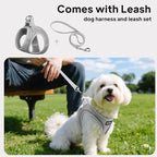 PetiFine Step in Small Dog Harness and Leash Set, Breathable All Weather Air - Image 5