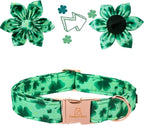 Lionheart Glory St. Patrick's Day Dog Collar, Dog Collar - Image 3