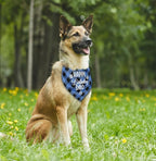 Dog Bandana, Happy Birthday Dad Dog Bandana, Dog Scarf Classical Plaid Printing - Image 4