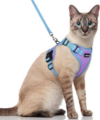 rabbitgoo Cat Harness and Leash Set, Escape Proof Soft Adjustable Vest Harnesses by rabbitgoo