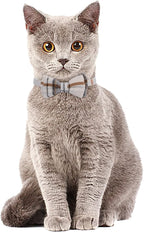 Faleela 2 Pack/Set Cat Collar - Image 4