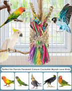 Bissap Bird Chew Toys, Parrot Foraging Shredder Natural Palm Frond Woven Bag - Image 7