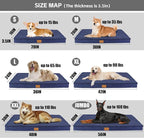 Patas Lague Orthopedic Jumbo Dog Bed - Image 5