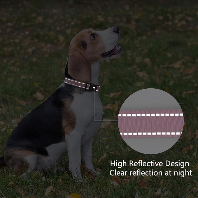 Reflective Dog Collar Padded - Image 5