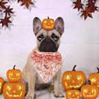 Halloween Dog Collar, Pet Collar Dog Bow Pumpkin Girl Boy Holiday Pet Collar - Image 6