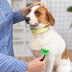 500 Count 20inch Adjustable Paper Dog Collars - Image 4