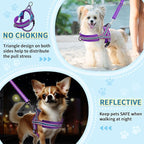 SlowTon No Pull Small Dog Harness and Leash Set, Puppy Soft Vest Harness Neck & - Image 3