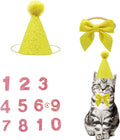 Christmas Pet Party Jazz Hat and Blingbling Bow Tie Breakaway Collar Set by Arogheiz