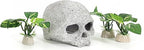 Fish Aquarium Decorations Cave Hide - Image 5