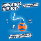 Chuckit! Ultra Tug Dog Toy - Image 4