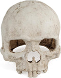 Uniclife Aquarium Skull Reptile House Decor Resin Head Skeleton Ornament by UnicLife