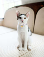 Cat Collar Breakaway with Bells, 3 Pack Safety Adjustable Pet Collars - Image 6