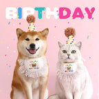 Cat Birthday Bandana Scarf and Party Hat Cute Tassels Bib Scarf and Birthday - Image 4