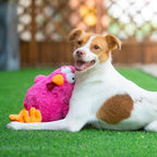 Best Pet Supplies Interactive Squeaky Dog Chew Toy, Ideal Dog Toys - Image 6