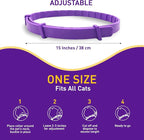 4 Pack Calming Collar for Cats – Pheromone Cat Calming Collar Cat Anxiety - Image 6