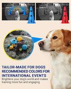 Dog Agility Course Backyard Set, Dog Agility Hurdle Cone Set - Image 4