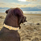 Woven Dog Collar with Metal Buckle Adjustable Jacquard Retro Dog Collars - Image 4