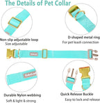 Nylon Dog Collar - Image 4