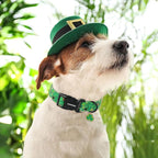 DOGWONG St Patrick's Dog Collar- Green Clovers Dog Collar, Adjustable Cotton - Image 4