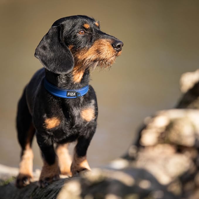 Fida Heavy Duty Dog Collar, Ultra Comfortable Soft Neoprene Padded, Adjustable - Image 7