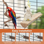 Bird Perch Stand, Pole Standing Natural Wood Bird Perch Set 5PCS Paw Grinding - Image 6