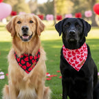 ADOGGYGO Valentine Dog Bandana 2 Pack, Reversible Red Pink Heart Pet Scarf Bib - Image 3