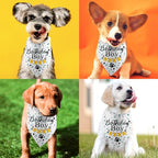 Dog Bandana for Birthday Party Supplies Puppy Pet Bandanas Boy Happy Birthday - Image 3