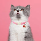 Cat Collar, 2 Pack Cat Collars-Cute Breakaway Cat Collar - Image 4