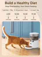 Automatic Cat Feeder and Water Fountain, 4L/16 Cups Timed Cat Dry Food Dispenser - Image 5