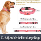 Airtag Dog Collar with AirTag Holder - Image 6