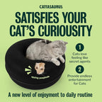 Cattasaurus Peekaboo Cat Cave Donut - Image 5