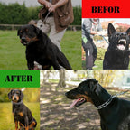 Prong Pinch Collar for Dogs - Image 5