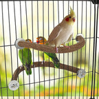 Allazone Bird Natural Wood Stand Perch Swing U Shape Natural Parrot Perch Bird - Image 4