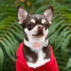 Unique style paws Dog Collar Metal Buckle Green Flowers Collar Gift Durable - Image 4